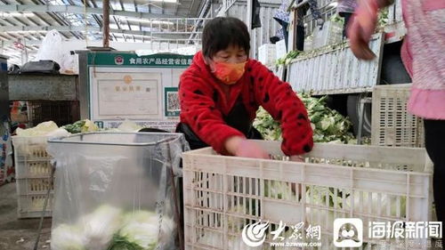 聊城 斷不了菜！記者實地探訪周公河農(nóng)貿(mào)城，日供蔬菜2000噸，新鮮蔬菜零售無憂