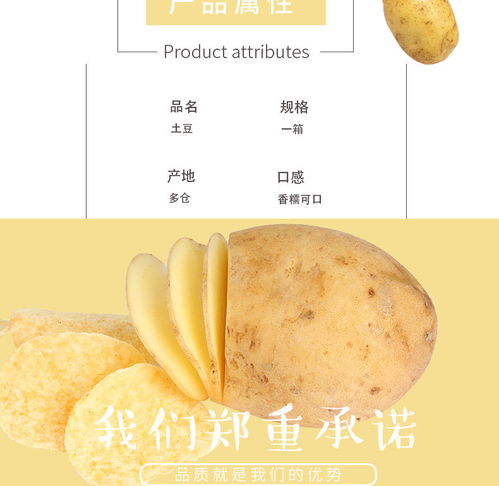 云南黃皮小土豆 現挖現賣的新鮮馬鈴薯，體驗泥土的芬芳
