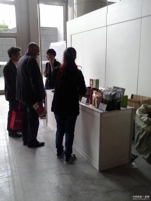 深耕教育咨詢，北京首冠國際賦能未來成長